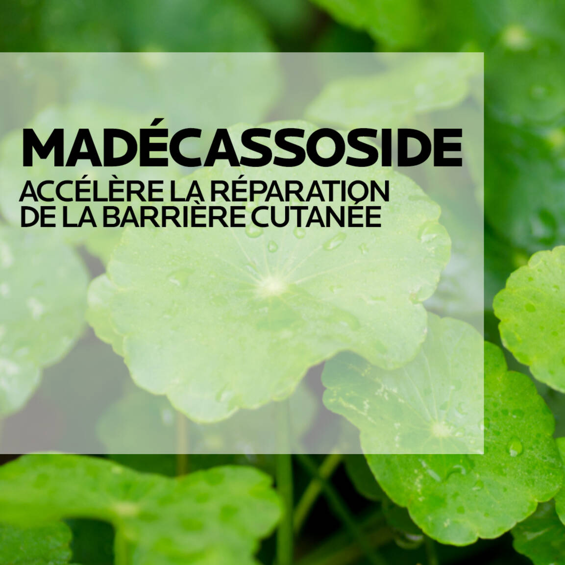La Roche Posay Cicaplast Baume B5+ Crème Ultra-Réparatrice Apaisante 40ml