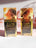 Dr Rashel SUN CREAM SPF 60